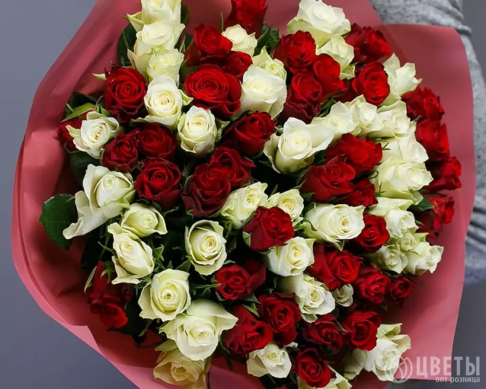 75 белых и красных роз Кения 35-40 см в упаковке №2