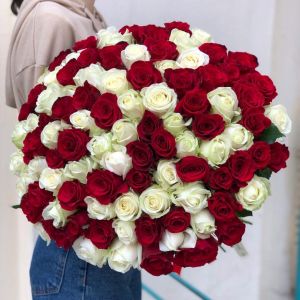 101 красно-белых роз 60 см
