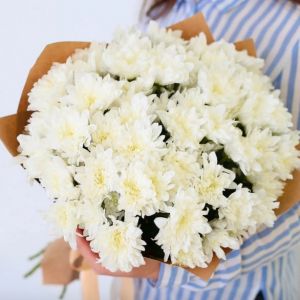 5 белых хризантем кустовых