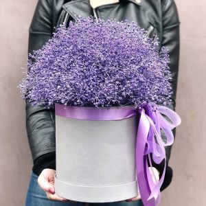 Букет 15 фиолетовых гипсофил в шляпной коробке