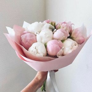 11 розовых и белых пионов в упаковке