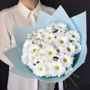 9 кустовых белых хризантем в упаковке