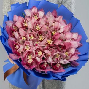 35 Розовых Орхидей