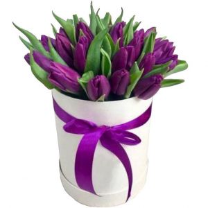 15 фиолетовых тюльпанов в коробке