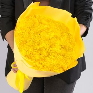 25 Желтых Хризантем Махровых в упаковке