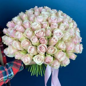 101 Розово-Белая Роза Кения 35-40 см