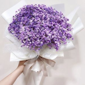 15 Фиолетовых Гипсофил в упаковке