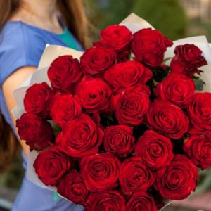 25 красных роз Эквадор 60 см в упаковке