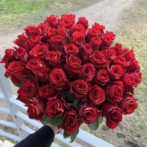 55 красных роз Кения 40 см
