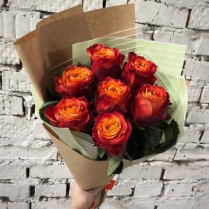 7 оранжевых роз Эквадор 50 см в упаковке