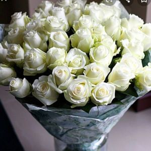 45 белых роз Кении 35-40 см в упаковке