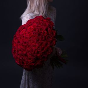 101 красной розы Эквадор 60 см