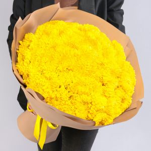 51 Желтая Хризантема Махровая в упаковке