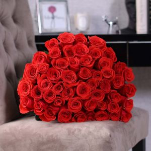 51 красной розы Эквадор 60 см в упаковке