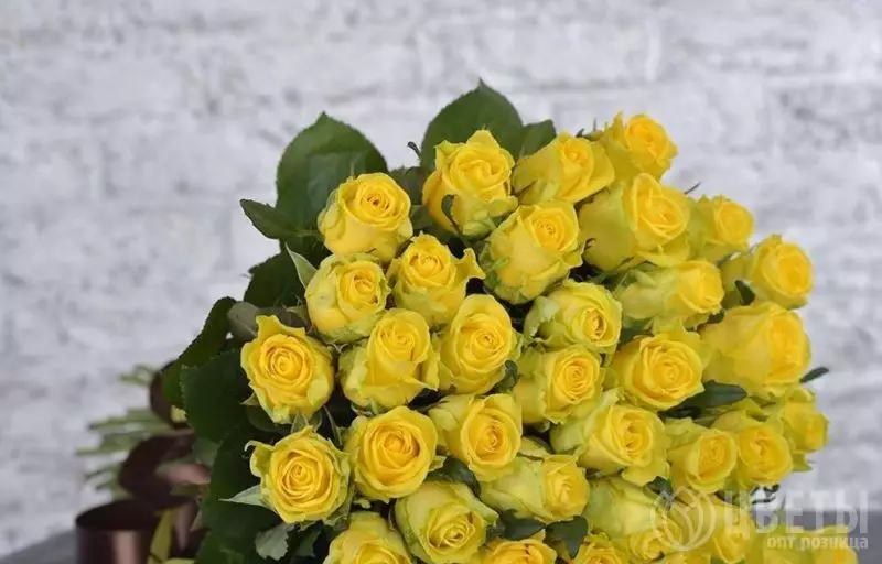 37 желтых роз Кении 40 см №1