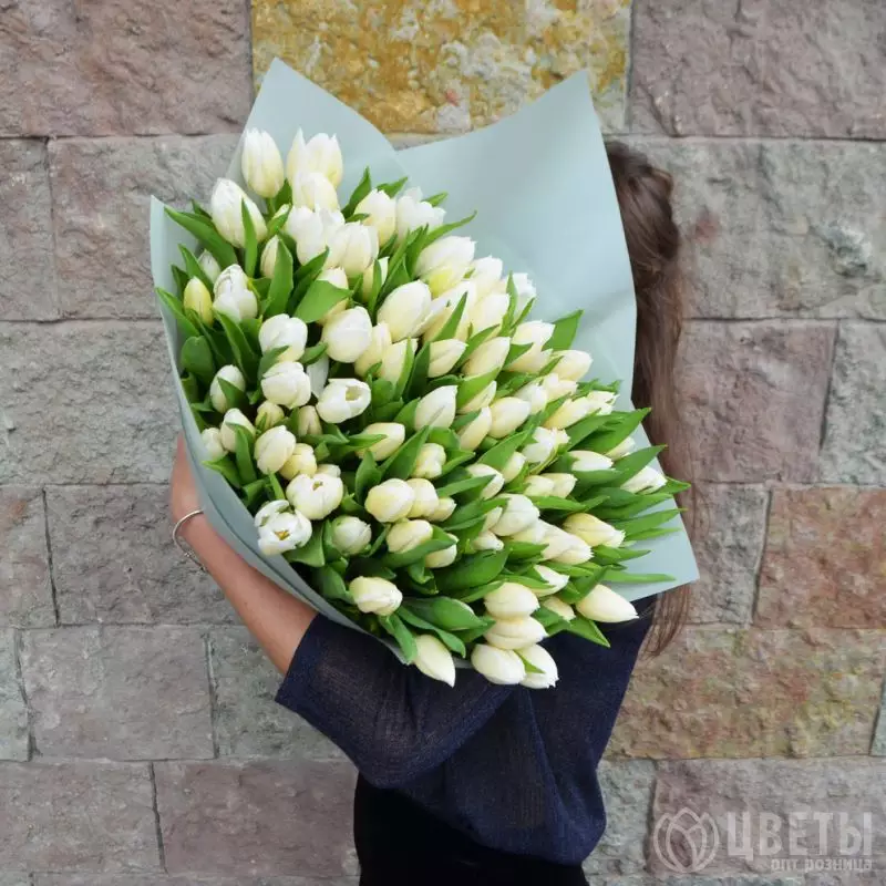 101 белый тюльпан в упаковке №1