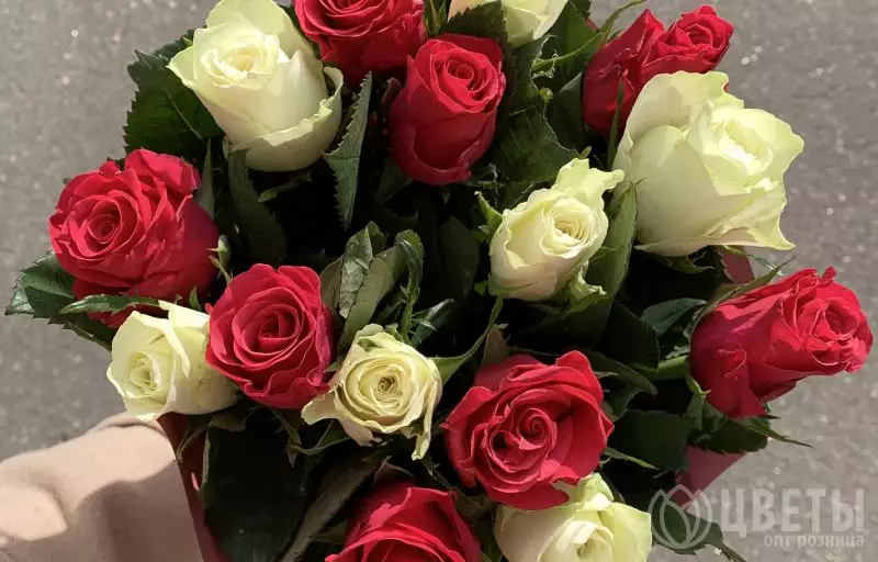 15 белых и красных роз Кения Премиум 40 см в упаковке №2