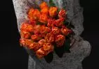 25 оранжевых роз Кения Премиум 40 см small №1