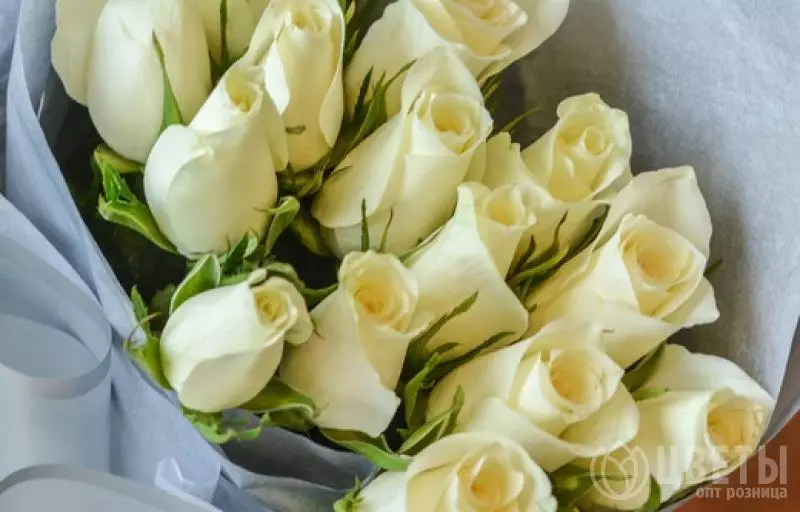 15 белых роз Кении в упаковке №2