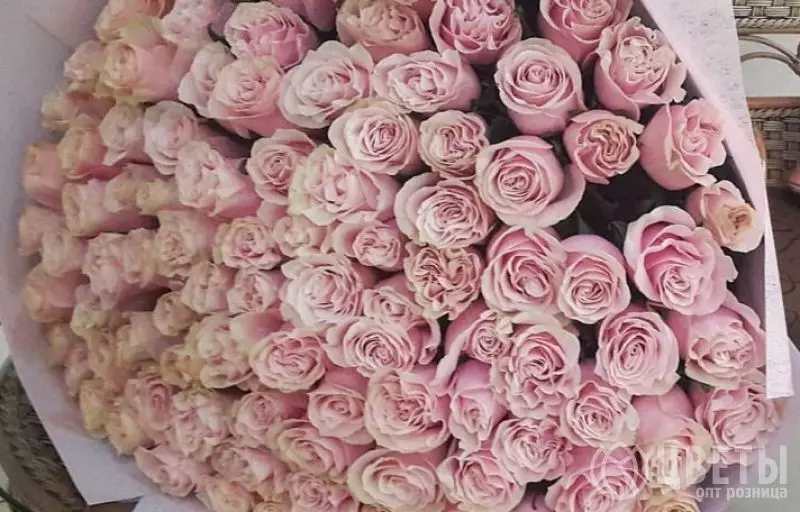 101 Светло-Розовая Роза 60 см №1