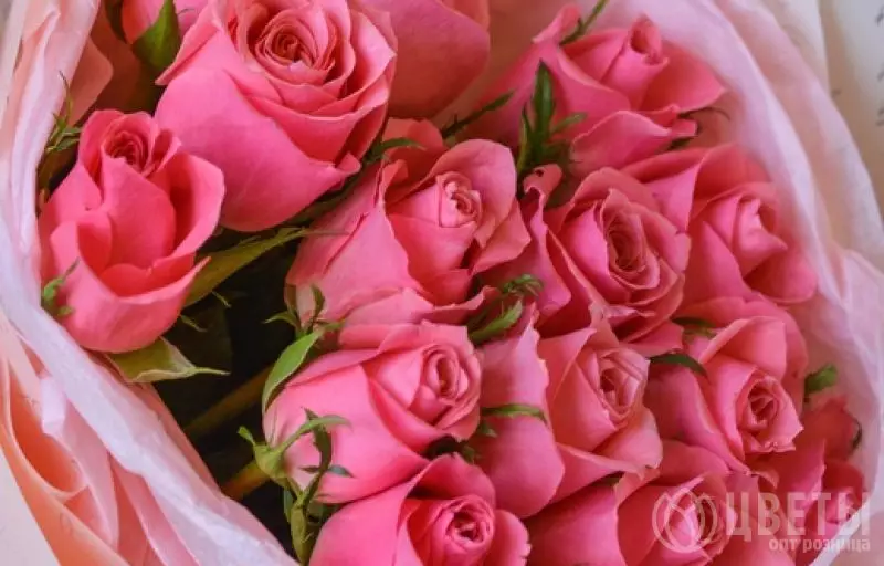 15 розовых роз Кении в упаковке №3