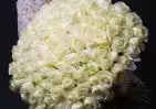 101 белой розы Эквадор 60 см small №1