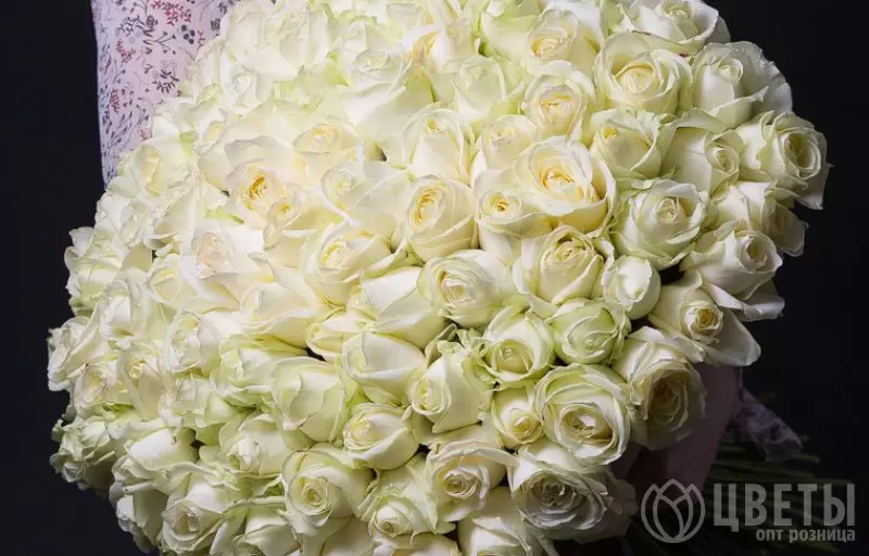 101 белой розы Эквадор 60 см №1
