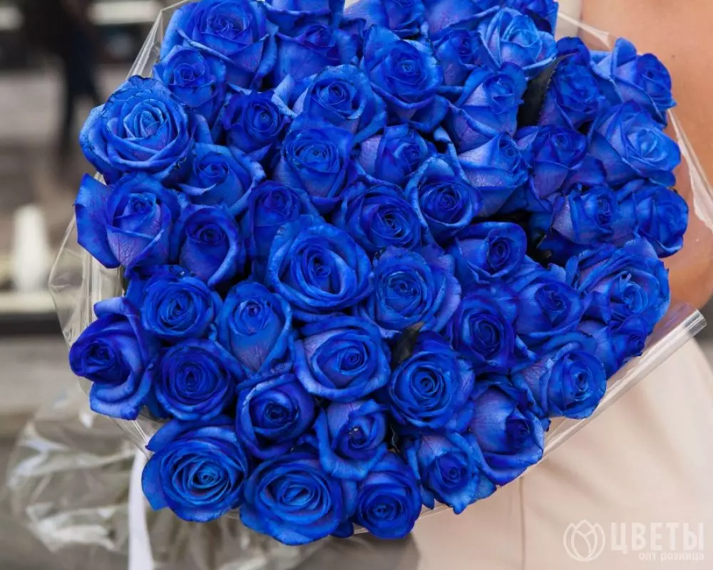 51 синей розы в упаковке №1