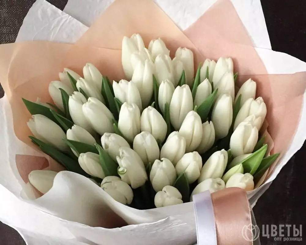 35 белых тюльпанов в упаковке №1