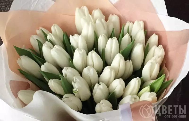 35 белых тюльпанов в упаковке №1