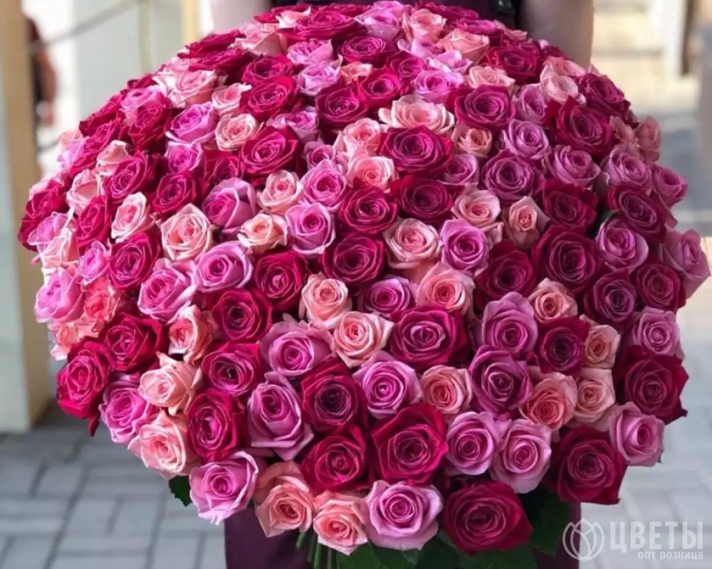 101 Малиновая и Розовая Роза (60 см.) №1