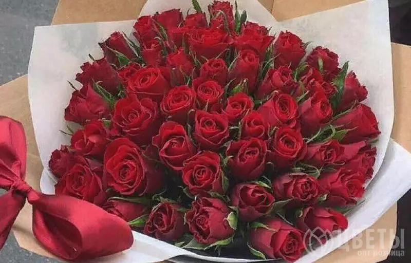 51 красных роз Кении 40 см в упаковке №1