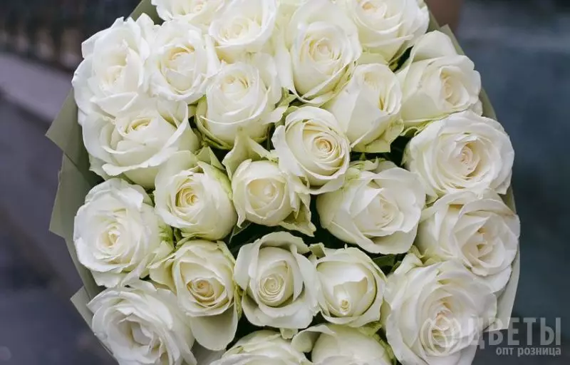 25 белых роз Эквадор 60 см в упаковке №3