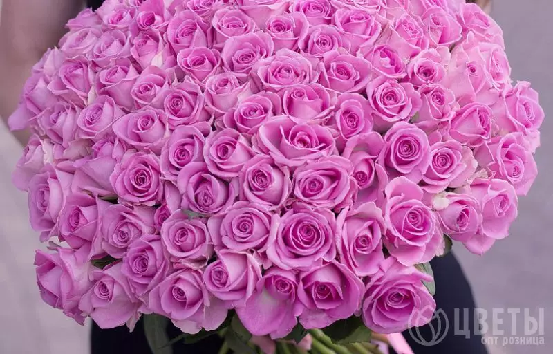 101 Ярко-Розовая Роза Кения Премиум 40 см №2