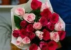 25 розовых роз Кения Премиум два цвета 40 см в упаковке small №1