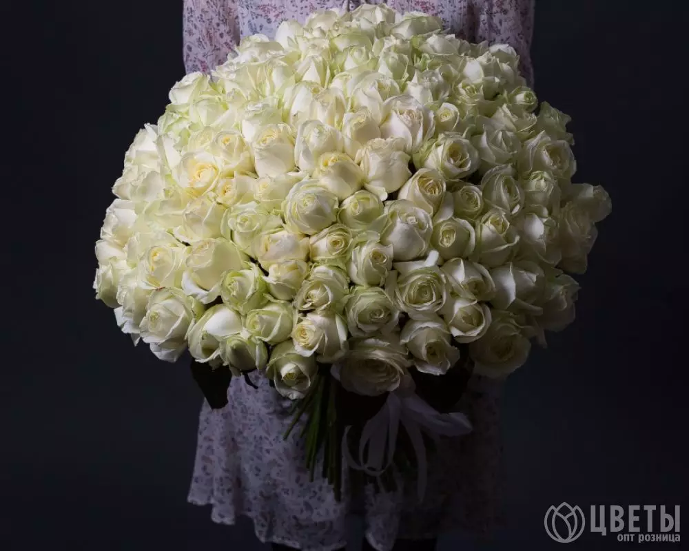 101 белой розы Эквадор 60 см №3