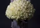 101 белой розы Эквадор 60 см small №3