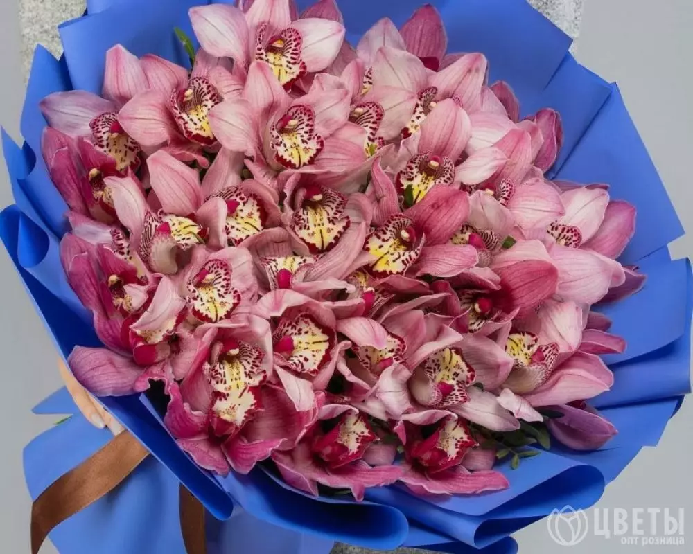 35 Розовых Орхидей №1