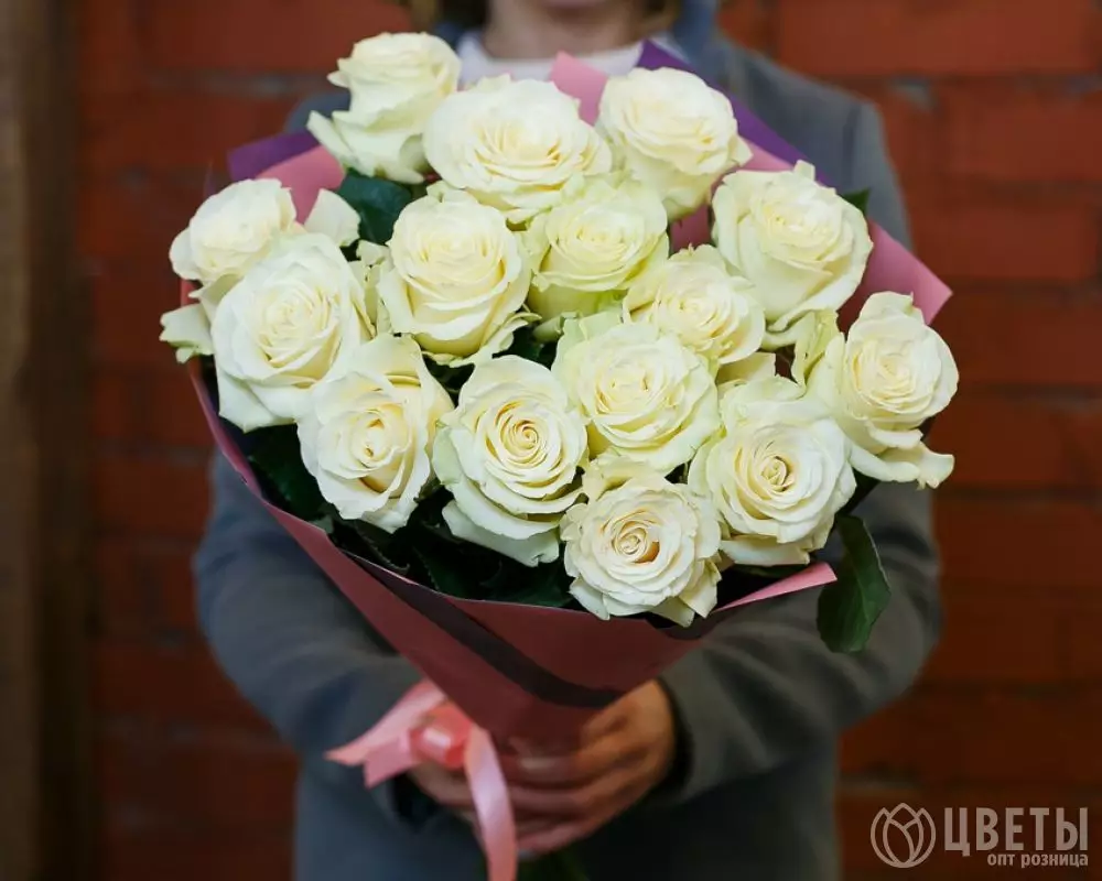 15 белых роз Эквадор 60 см №2