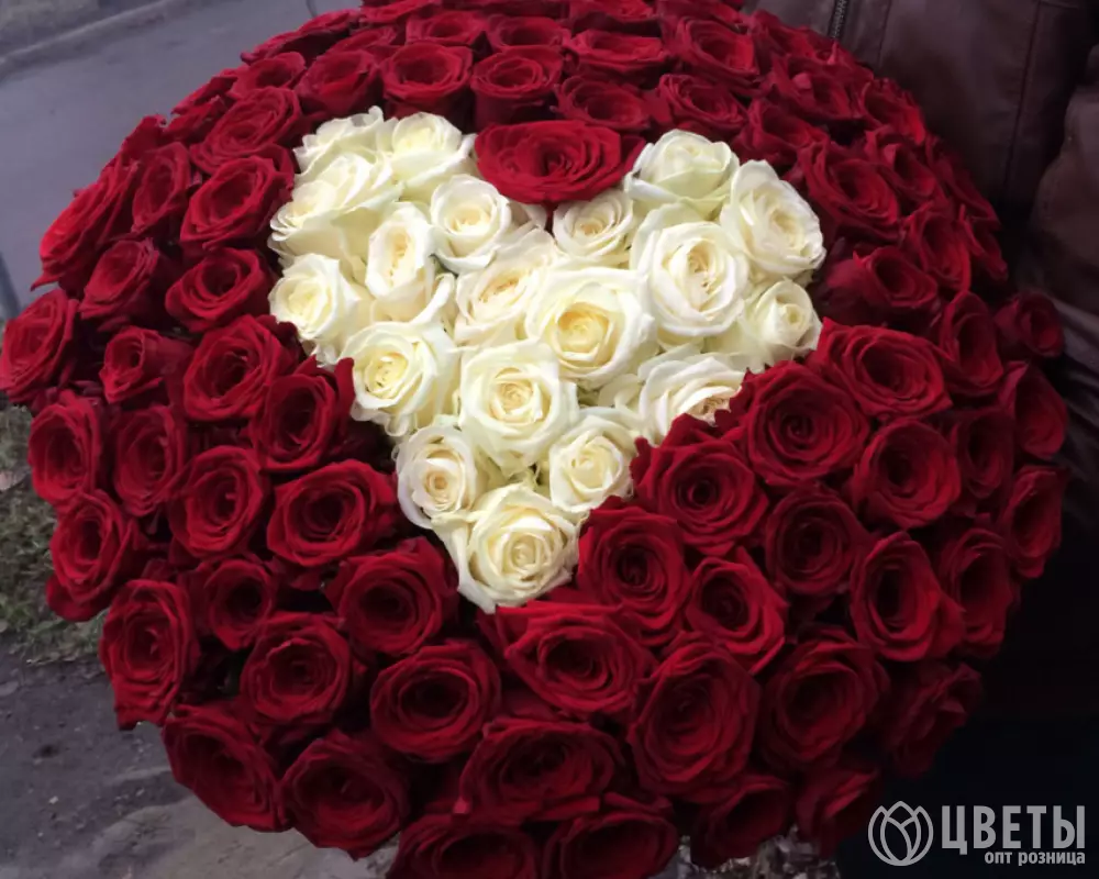 101 Красная и Белая Роза (60 см.) сердце №1