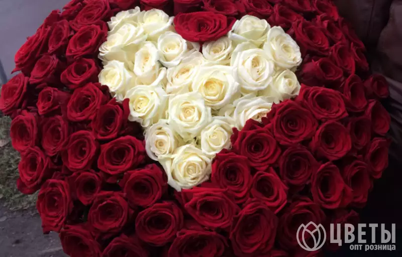 101 Красная и Белая Роза (60 см.) сердце №1