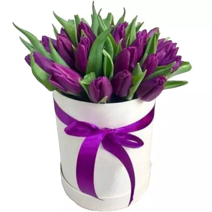15 фиолетовых тюльпанов в коробке №1