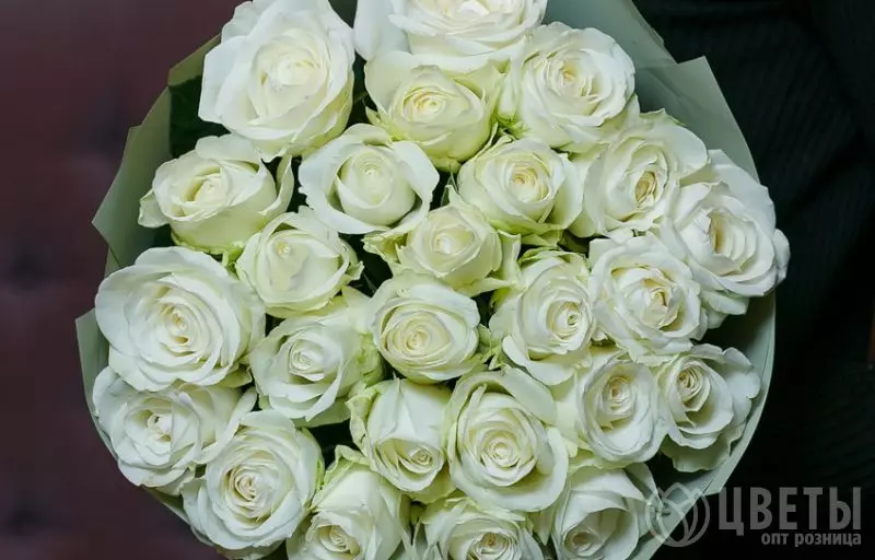 25 белых роз Эквадор 60 см в упаковке №2
