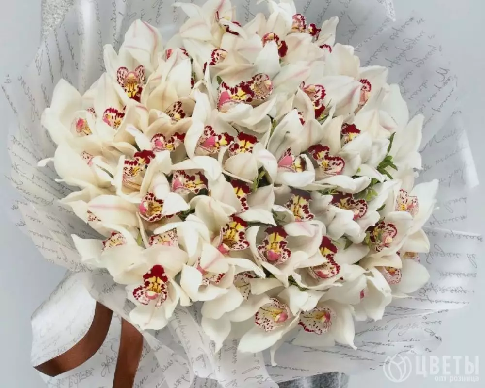 51 Белая Орхидея №1
