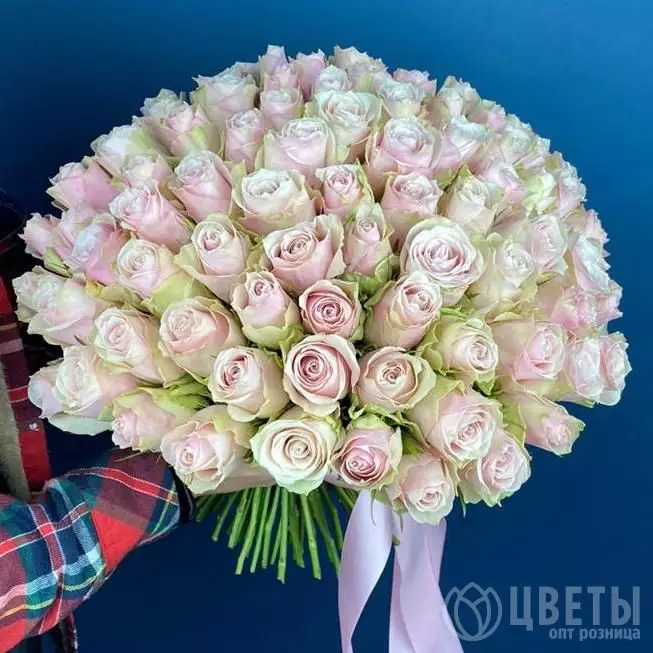 101 Розово-Белая Роза Кения Премиум 40 см №1