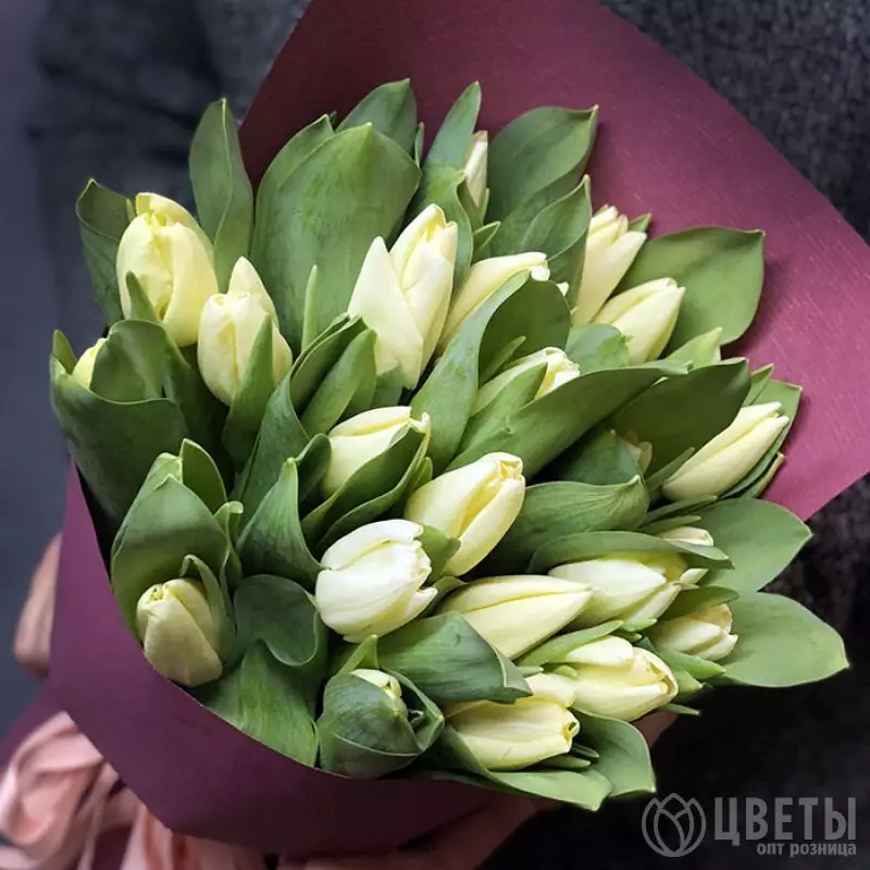 25 белых тюльпанов в упаковке №4