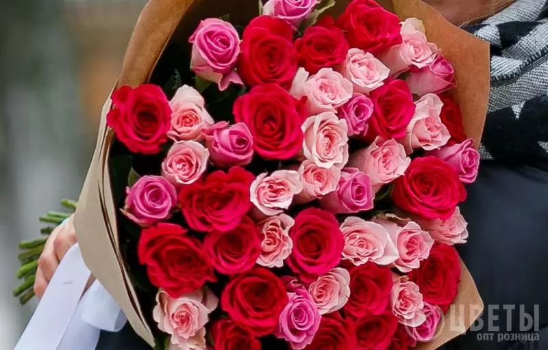 51 красной и розовой розы Кения Премиум 40 см в упаковке №1
