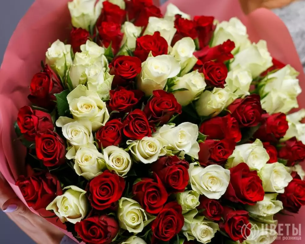 75 белых и красных роз Кения Премиум 40 см в упаковке №1