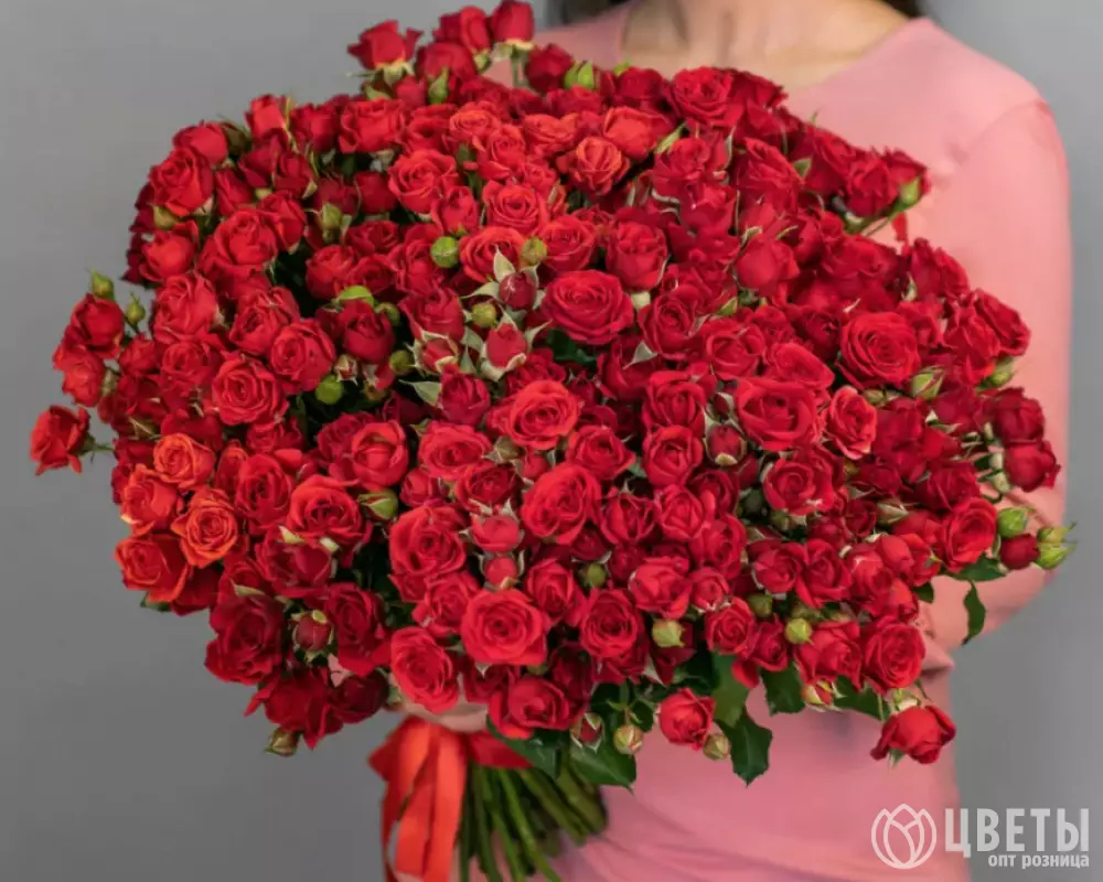  101 Кустовая Красная Роза (50 см.) №1