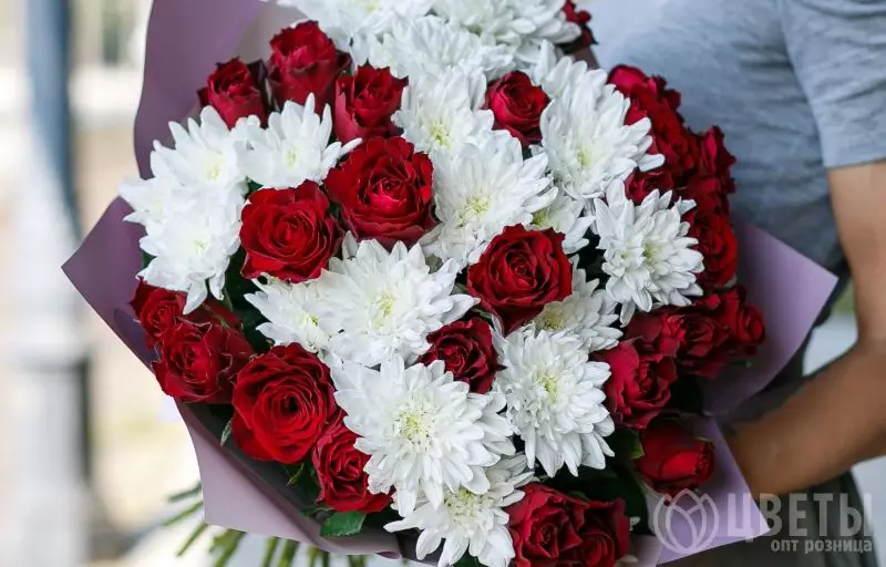 25 красных роз и 5 кустовых хризантем №1